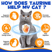 Poudre d'acides aminés essentiels Oimmal Taurine pour tous les chats, soutient la fonction cardiaque normale, l'équilibre digestif, contribue à la vitalité quotidienne
