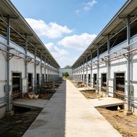Poulailler en acier préfabriqué résistant au vent (121 mph), design moderne, facile à nettoyer, abri de ferme, poulailler, taille personnalisée