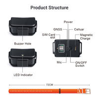 MiCODUS MP50G IPX7 étanche Geofence localisateur d'animaux de compagnie positionnement en temps réel 4G Hound Gps Tracker chasse chien Gps collier de suivi