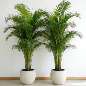 2 künstliche Palmen |   Realistische tropische Pflanzen mit üppigen grünen Blättern, wartungsfrei für Innen-/Außendekoration - Product Image 6