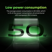 Pantalla de película transparente Led adhesiva flexible Pantalla de pantalla Led de película ultra transparente
