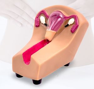 المهنية الطبية وسائل منع الحمل داخل الرحم جهاز التنسيب محاكاة أمراض النساء اللولب نموذج للتدريب - Product Image 1