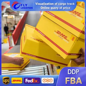 中国から米国への国際エクスプレスヨーロッパカナダ英国配送DHL UPS EMS FedEx TNT貨物運送業者