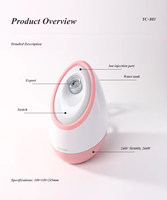 Vaporisateur Facial Ionique Personnalisé pour la Maison, Nettoyage en Profondeur par Pulvérisation Chaude, Nettoyant de Pores Hydratant pour le Visage