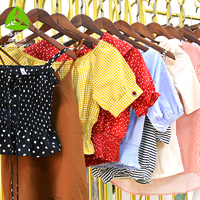 Vêtements d'Été de Marque pour Femme, Lot Mixte de Robes, T-Shirts, Chemisiers, Pantalons et Jupes d'Occasion, Friperie