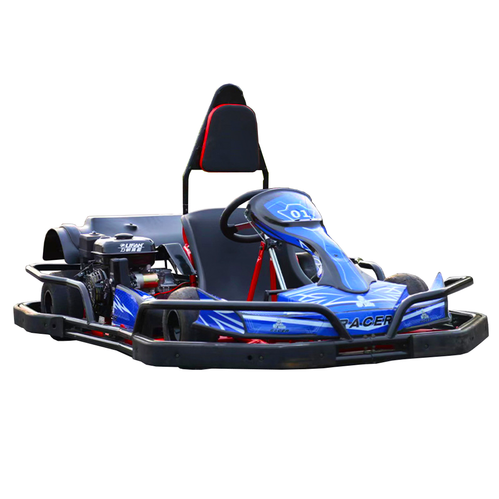 200cc gasbetrieb ene günstige Preise Karting Racing F1 Benzin Auto Benzin Go Karts für Erwachsene Gasbetrieb ene