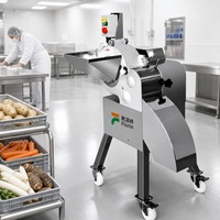 Hoge snelheid snijmachine voor groenten, fruit en vlees; geschikt voor het snijden van aardappel, wortel, mango, bevroren rundvlees en varkensvlees in blokjes.