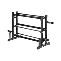 Support de rangement robuste en acier Dingfeng pour haltères, kettlebells et plaques de poids pour la maison et la salle de sport