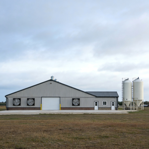 Stalla per Bestiame in Acciaio Antincendio e Anticorrosione per Allevamento di Bovini da Latte e da Carne - Product Image 6