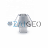 WJS 4100023 Wasserstrahl-Saphir-Rubin-Düse, WJS 7800101 7800049 Wasserstrahl-Diamantdüse, Ersatzteile für Wasserstrahlanlagen