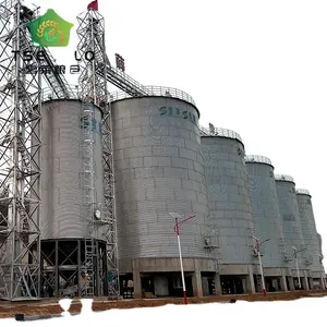 Vente de gros silos galvanisés à fond plat pour les fermes de maïs