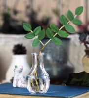Bouteille en verre transparente de 55 ml avec bouchon en bois pour messages, mini capsule DIY, vente en gros