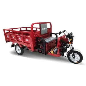 150Cc Trike kargo Motor motocarros taksi gaz Scooter Moto Triciclo elektrik üç tekerlekli bisiklet