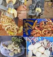 Éplucheur de pommes à vendre, éplucheur industriel d'ananas, éplucheur industriel de mangue, éplucheur de fruits Tupperware, meilleur éplucheur de citron