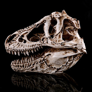Venta al por mayor <span class=keywords><strong>Trex</strong></span> SKD05 Tyrannosaurus Rex Skull <span class=keywords><strong>3D</strong></span> Resina Calavera Adornos Animal - Product Image 4
