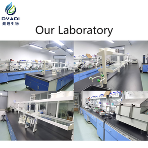 3酵素配合 PAC-L 多機能染み抜き添加剤 血液や頑固な汚れ専用配合 - Product Image 5