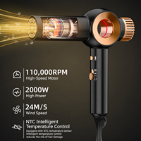 Nouvel Arrivage Chaud : Sèche-cheveux Professionnel Haute Vitesse 2000W pour Salon de Coiffure, Fabrication ODM/OEM