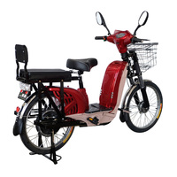 Milg CE Offre Spéciale de vélo électrique 800W grande roue VTT électrique 2-en-1 siège arrière avec deux sièges
