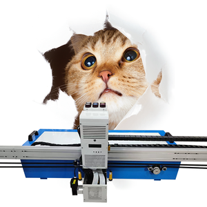 CNC 2 in 1 Metal Ceramic Glass Horizontal <strong>and</strong> Vertical Inkjet <strong>Printer</strong> 3D UV Wall <strong>and</strong> Floor Integrated Printing Machine - Product Image 6