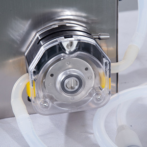 Pompe péristaltique durable à tête unique pour remplissage de bouteilles de liquides visqueux 220V semi-automatique haute précision électrique garantie 1 an - Product Image 1