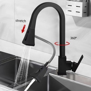 Robinet de <span class=keywords><strong>cuisine</strong></span> de luxe en acier inoxydable 304 <span class=keywords><strong>noir</strong></span> mat à poignée unique avec douchette extractible et flexible pour évier de <span class=keywords><strong>cuisine</strong></span> - Product Image 1