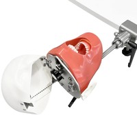 Simulateur de formation dentaire, tête de mannequin fantôme avec modèle de dents, consommables dentaires pour la pratique