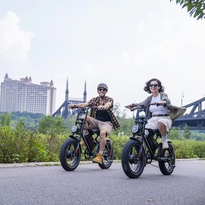 Diseño Popular nuevo 1000W 48V bicicleta de entrega eléctrica viaje remoto excursión bicicleta de montaña eléctrica <span class=keywords><strong>en</strong></span> almacén de la UE - Product Image 3