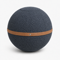 Housse de chaise de yoga en tissu avec poignée pour ballon d'équilibre personnalisé en fausse fourrure, pour la maison, la gym, le Pilates, la posture assise et la stabilité