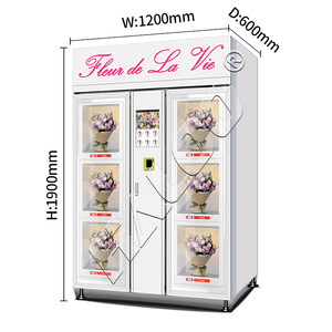 Distributeur automatique de fleurs Haloo, 6 casiers, écran tactile 21,5 pouces, SDK personnalisé, couleur personnalisée, paiement par code QR - Product Image 2