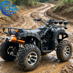 LNA Four Wheeler <strong>Quad</strong> Bikes for Adults 250cc Fun Thrilling <strong>Rental</strong> Use - Product Image 5