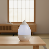 Humidificateur diffuseur d'huiles essentielles à ultrasons avec LED, grande capacité, pour aromathérapie