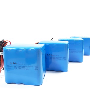 Paquete de Baterías de Litio Recargables de Polímero de Iones de Litio 18650 2P6S 24V 5200mAh para Aspiradora Inalámbrica Inteligente - Product Image 3