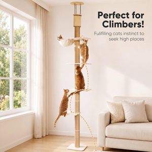 Solid Wood Floor to Ceiling <b>Cat</b> Tree & <b>Tower</b> with Bed Space-Saving Multi-Level Climbing Frame and Jumping Platform All Seasons - Product Image 5