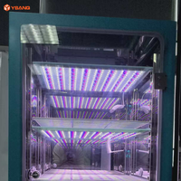 YSANQ Cámara de Crecimiento de Plantas Industrial LED Más Vendida para Pruebas de Envejecimiento de Materiales con Fuente de Luz Fría y Sistema de Bloqueo de Seguridad