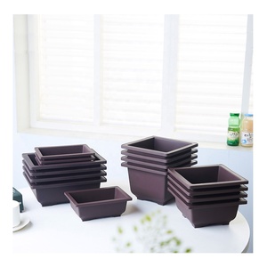 Pot de jardin rectangulaire en plastique pour plantes succulentes et bonsaïs, avec soucoupes en terre cuite - Product Image 1