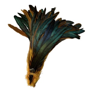 Plumas <span class=keywords><strong>de</strong></span> <span class=keywords><strong>Gallo</strong></span> Coloridas, Rectas <span class=keywords><strong>y</strong></span> Teñidas, <span class=keywords><strong>de</strong></span> 25-30 cm, Plumas <span class=keywords><strong>de</strong></span> Pollo para Decoración <span class=keywords><strong>de</strong></span> Cócteles, Accesorios <span class=keywords><strong>de</strong></span> Vestuario para Espectáculos - Product Image 5