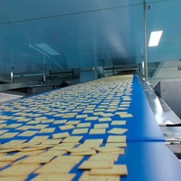 Four à pâtisserie électrique en acier inoxydable à double couleur, machine à biscuits à haute productivité, nouveau modèle