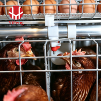 Cage à poules pondeuses de type A à grande capacité, 3 niveaux, galvanisée, avec collecte automatique des œufs, équipement avicole