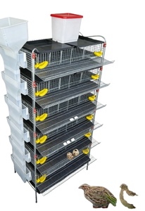Gaiola Avançada para Produção de Codornas com Alimentação Integrada e Transportador de Ovos - Product Image 1