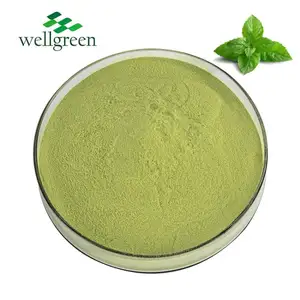 Source Factory Provide Teeth Whitening Dried Extract Leaf White Food Flavor Cat Oil Mint Powder