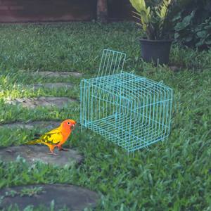 Kandang pembawa burung beo kecil kandang pembawa Budgie untuk burung <span class=keywords><strong>Cockatiel</strong></span> portabel parkit perjalanan tempat penyimpanan pengumpan - Product Image 3