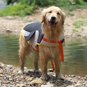 Gilet de sauvetage pour chien, gilet de flottation d'été pour Corgi, Shiba Inu, Labrador, équipement de sécurité pour la natation - Product Image 2