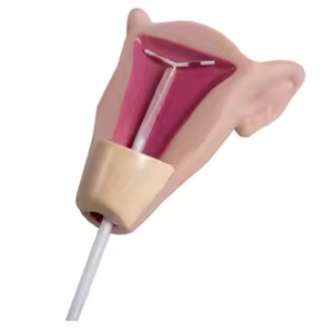 Modèle avancé de <span class=keywords><strong>formation</strong></span> à la contraception intra-utérine pour l'enseignement de la planification de la santé <span class=keywords><strong>maternelle</strong></span> et infantile en sciences médicales - Product Image 6