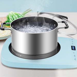 220V 2200W ultrafino IH eléctrico Chula estufa Hotpoint Vitroceramica halógeno placa <span class=keywords><strong>induo</strong></span> prtatil - Product Image 4