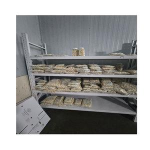 <span class=keywords><strong>Ail</strong></span> frais pelé en gousses de 5 livres, fourni par l'usine <span class=keywords><strong>d</strong></span>'<span class=keywords><strong>ail</strong></span> de Jining, <span class=keywords><strong>prix</strong></span> Chine - Product Image 3