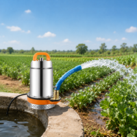 Pompe à eau submersible portable 12V 24V 48V DC, mini pompe centrifuge pour le transfert d'eau domestique, l'irrigation agricole