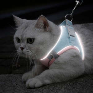 Harnais pour chat anti-traction en velours réfléchissant, anti-évasion, réglable, doux, avec laisse de 1,5 m et accessoires en alliage de zinc pour petits chats - Product Image 5