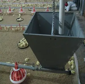 Pemberi makan hewan otomatis garis pemberi makan peternakan unggas sistem memberi makan dan minum ayam