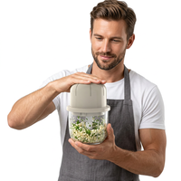 Hachoir à ail électrique, mini hachoir à légumes portable, broyeur à ail, hachoir à oignon, mixeur pour légumes, robot culinaire