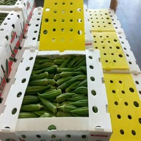 Meilleur prix d'usine poly PP ondulé Orange banane emballage en plastique stockage polypropylène Fruits expédition boîte de circulation